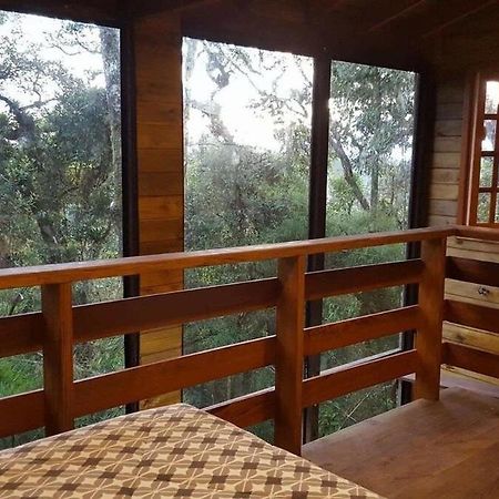 Chale Dos Tucanos- Parede De Vidro Com Linda Vista Campos do Jordao Dış mekan fotoğraf