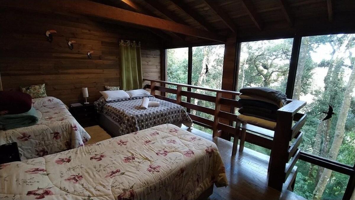 Chale Dos Tucanos- Parede De Vidro Com Linda Vista Campos do Jordao Dış mekan fotoğraf